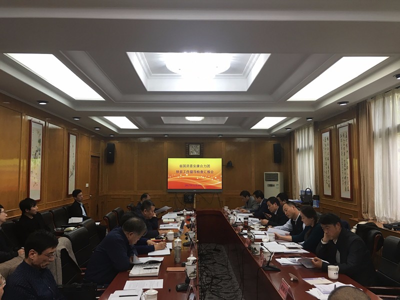 陕西沙巴(中国)体育有限公司官网集团参与省国资委安康合力团扶贫工作督导查抄汇报会