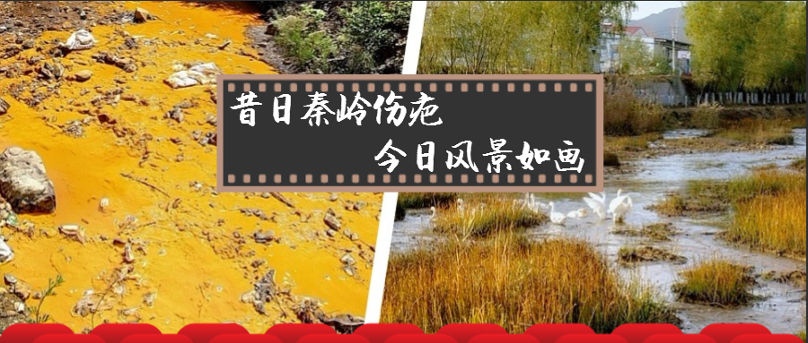 旧日秦岭伤疤 今日景致如画——陕西沙巴(中国)体育有限公司官网集团黄龙河道域传染治理侧记 旧日秦岭伤疤 今日景致如画——陕西沙巴(中国)体育有限公司官网集团黄龙河道域传染治理侧记