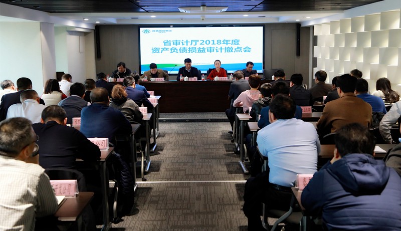 省审计厅对陕西沙巴(中国)体育有限公司官网集团2018年度资产负债损益审计撤点会召开