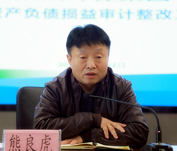 陕西沙巴(中国)体育有限公司官网集团召开2018年度资产负债损益审计整改工作部署会议