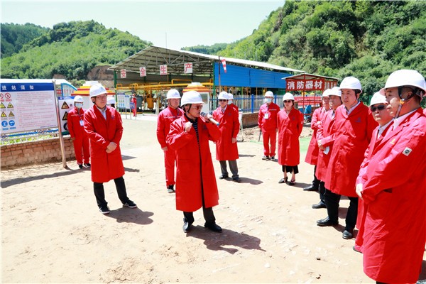 陕西沙巴(中国)体育有限公司官网集团复工复产促增长项目观摩会议与会人员走进沙巴(中国)体育有限公司官网保隆生态三秦在延在铜项目