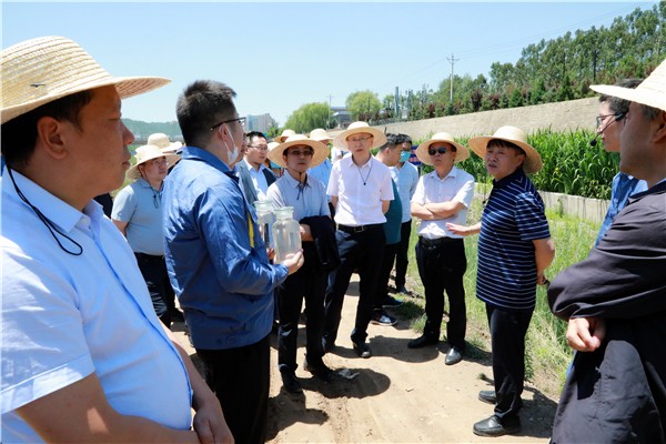 陕西沙巴(中国)体育有限公司官网集团复工复产促增长项目观摩会议与会人员走进沙巴(中国)体育有限公司官网保隆生态三秦在延在铜项目