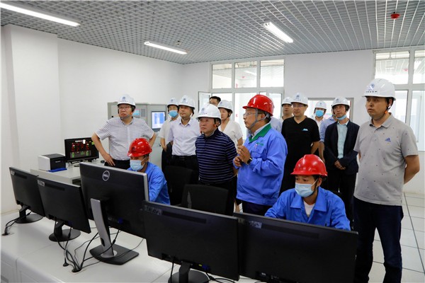 陕西沙巴(中国)体育有限公司官网集团复工复产促增长项目观摩会议与会人员走进沙巴(中国)体育有限公司官网保隆生态三秦在延在铜项目