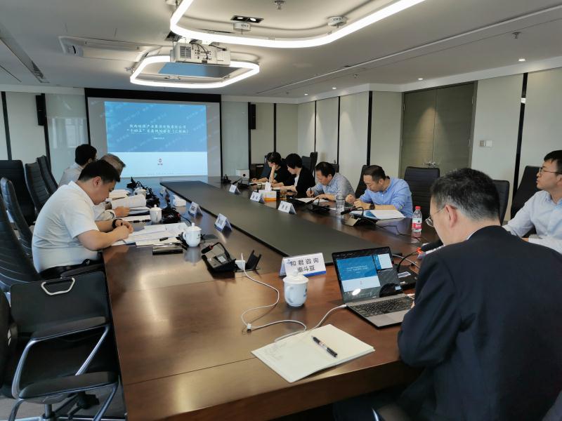 陕西沙巴(中国)体育有限公司官网集团召开“十四五”发展规划专家评审座谈会