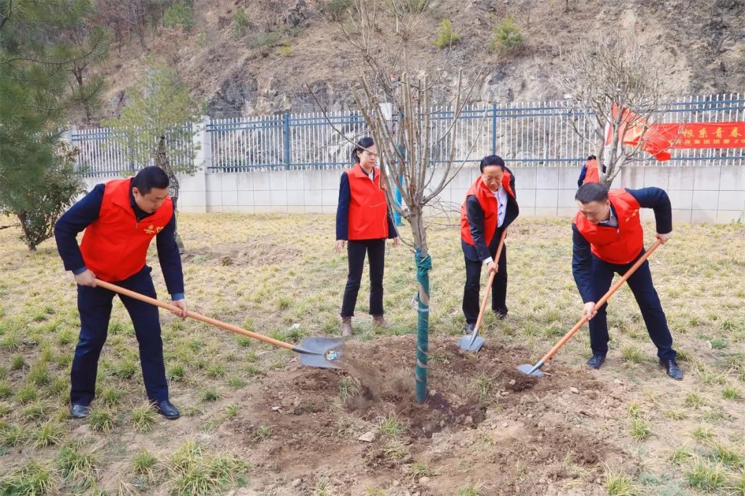 根系青春·植此青绿｜陕西沙巴(中国)体育有限公司官网集团团委发展使命植树自愿活动
